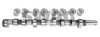 SWAG 50 32 0005 Camshaft Kit